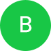 Bringi logo